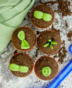 Chocolate Plant Pot Cupcakes with Oreo